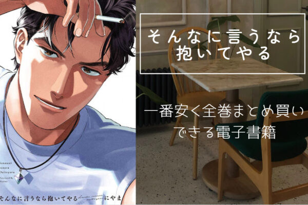 そんなに言うなら抱いてやる