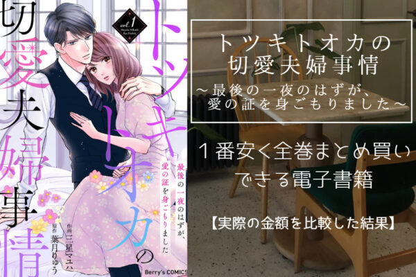 トツキトオカの切愛夫婦事情～最後の一夜のはずが、愛の証を身ごもりました～