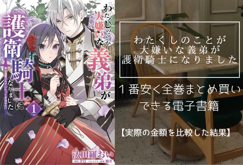 わたくしのことが大嫌いな義弟が護衛騎士になりました